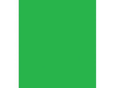 Chroma Green Backdrop (10' x 12')